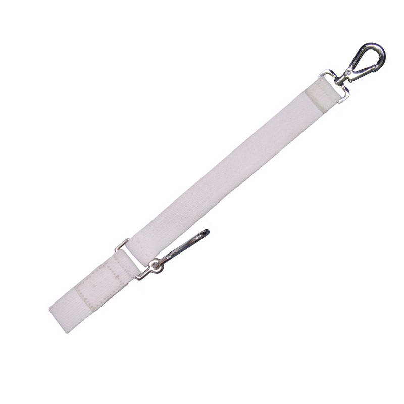 Sword Sling
