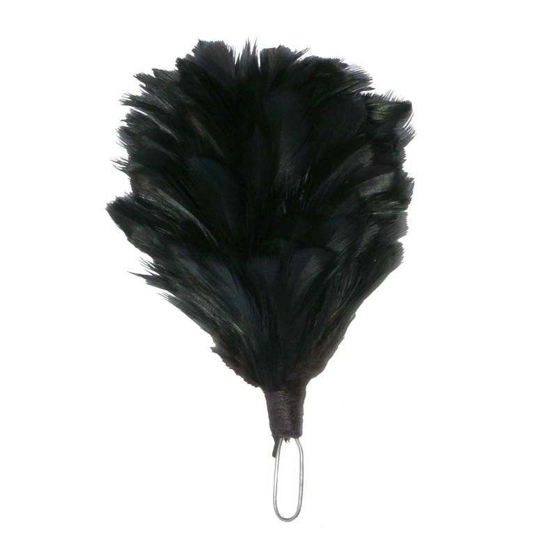 Palm & Feather