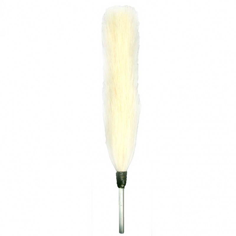 Palm & Feather