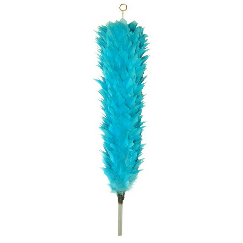 Palm & Feather