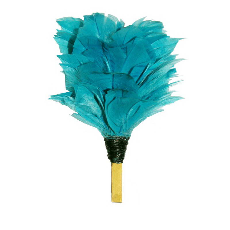 Palm & Feather