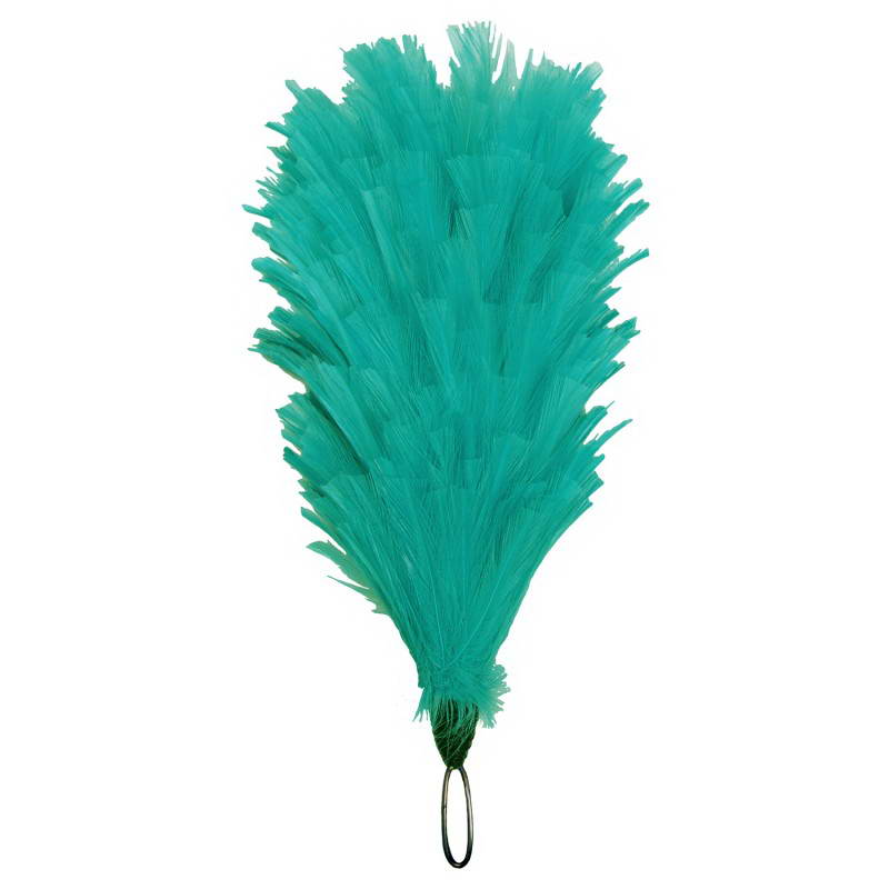 Palm & Feather