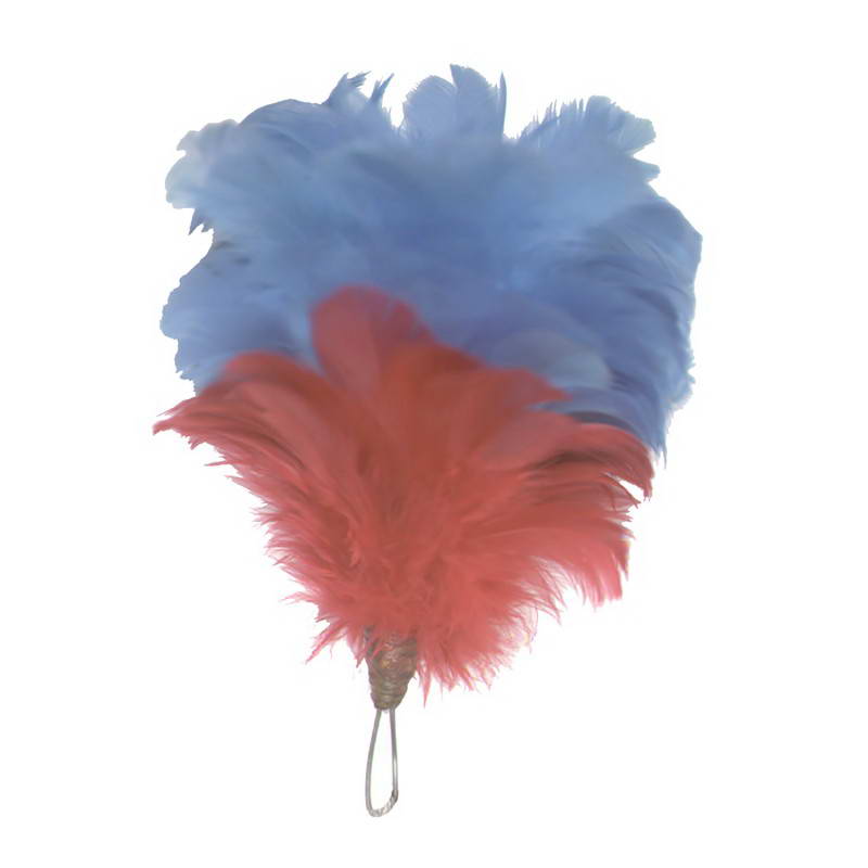 Palm & Feather