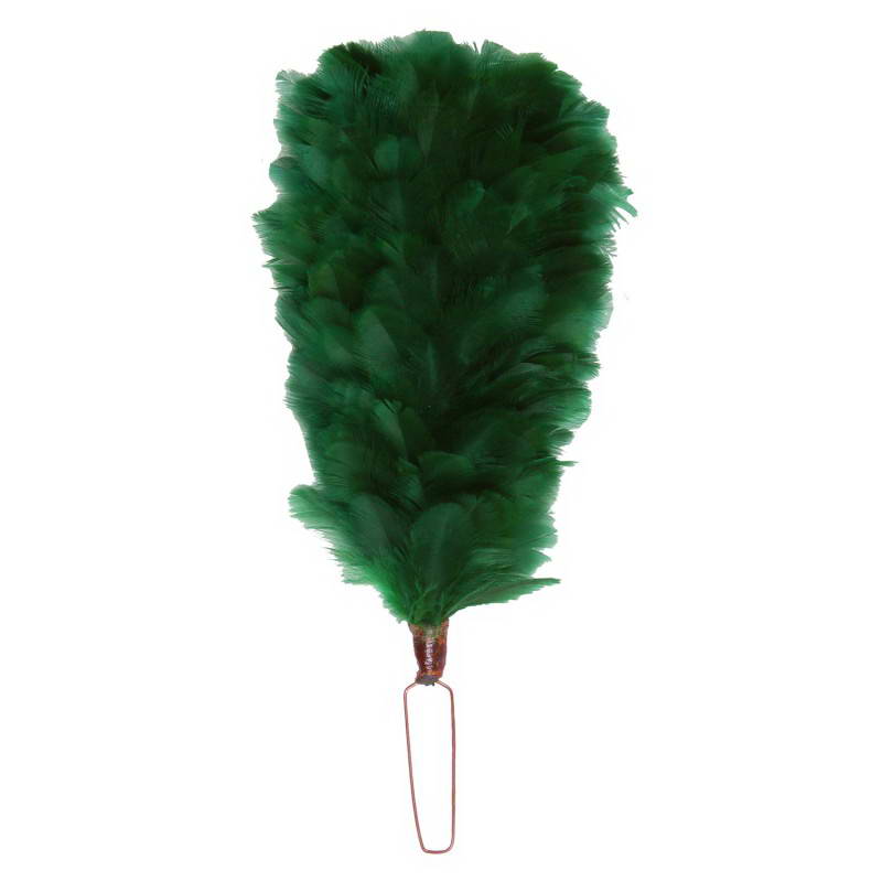 Palm & Feather
