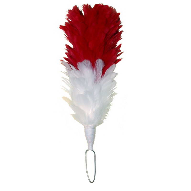 Palm & Feather