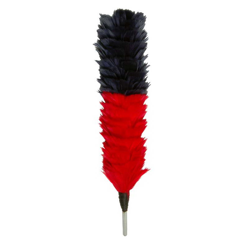 Palm & Feather